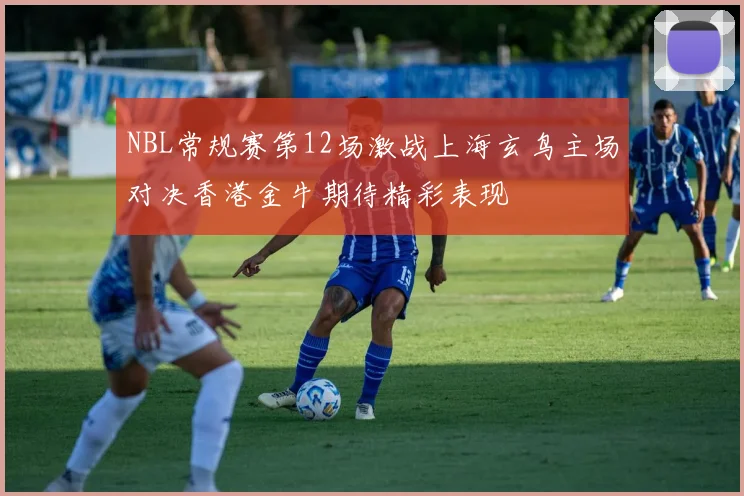 NBL常规赛第12场激战上海玄鸟主场对决香港金牛期待精彩表现